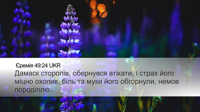 Єремія 49:24 UKR Bible Verse Image