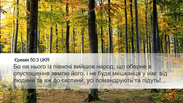 Єремія 50:3 UKR Bible Verse Image