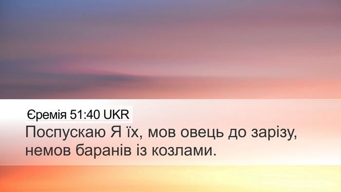 Єремія 51:40 UKR Bible Verse Image
