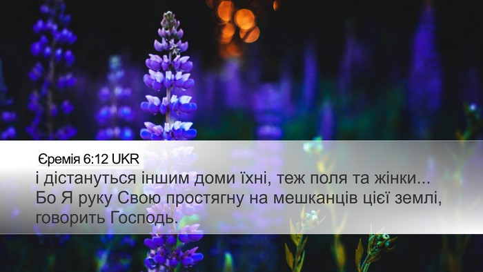 Єремія 6:12 UKR Bible Verse Image