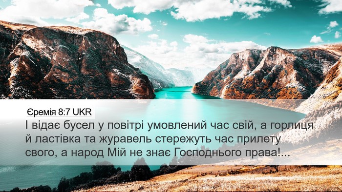 Єремія 8:7 UKR Bible Verse Image