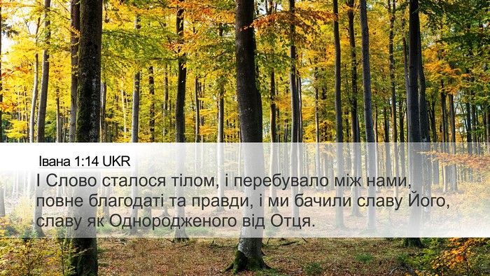 Івана 1:14 UKR Bible Verse Image