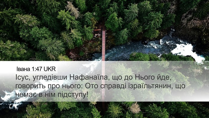 Івана 1:47 UKR Bible Verse Image