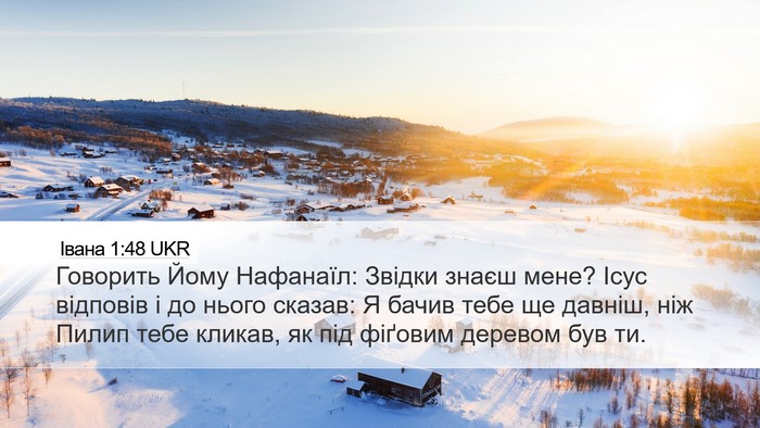Івана 1:48 UKR Bible Verse Image