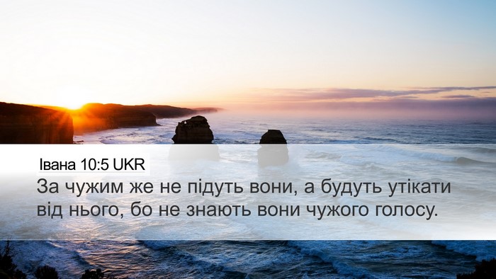 Івана 10:5 UKR Bible Verse Image