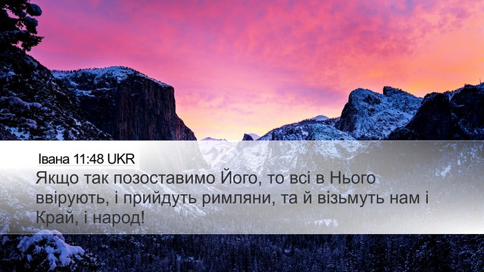 Івана 11:48 UKR Bible Verse Image