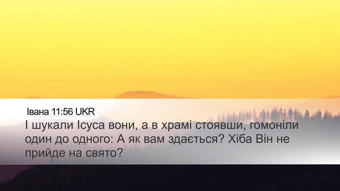 Івана 11:56 UKR Desktop Wallpaper - І шукали Ісуса вони, а в - Desktop Bible Verse Wallpaper