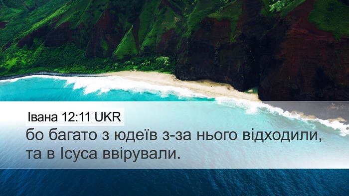 Івана 12:11 UKR Desktop Wallpaper - бо багато з юдеїв з-за - Desktop Bible Verse Wallpaper