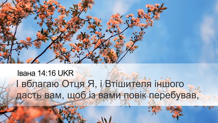 Івана 14:16 UKR Bible Verse Image