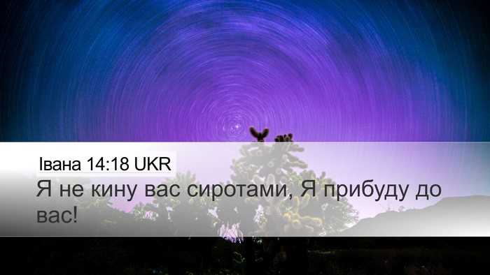 Івана 14:18 UKR Bible Verse Image