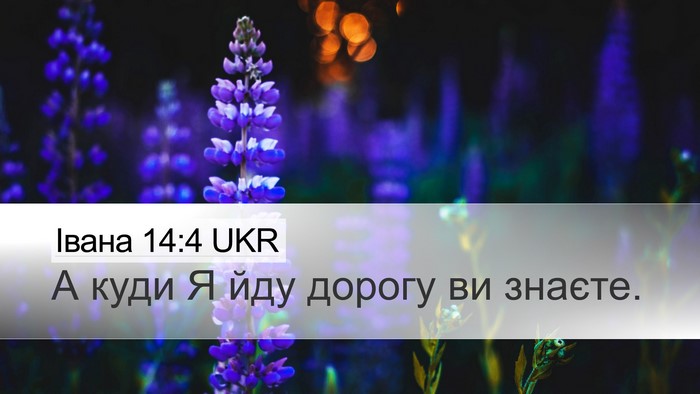 Івана 14:4 UKR Bible Verse Image