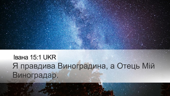 Івана 15:1 UKR Bible Verse Image