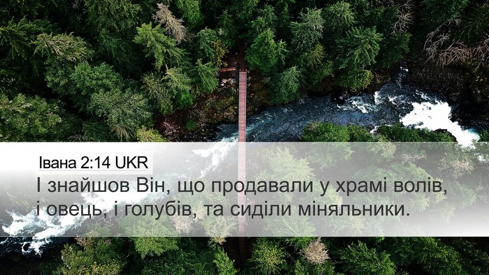 Івана 2:14 UKR Bible Verse Image