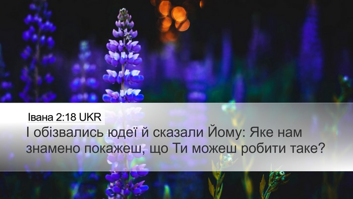Івана 2:18 UKR Bible Verse Image