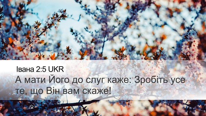 Івана 2:5 UKR Bible Verse Image