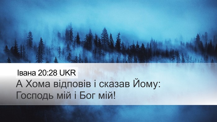 Івана 20:28 UKR Bible Verse Image