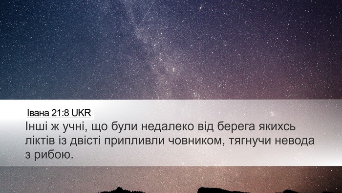 Івана 21:8 UKR Bible Verse Image
