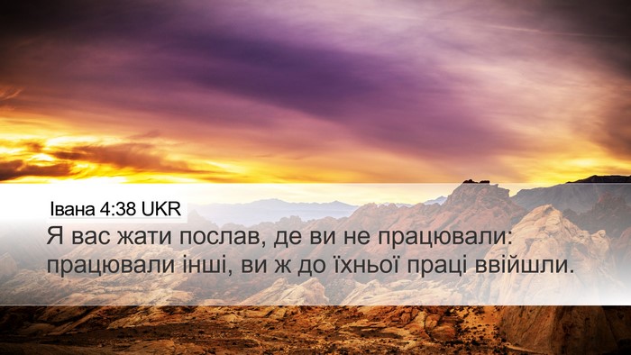 Івана 4:38 UKR Bible Verse Image