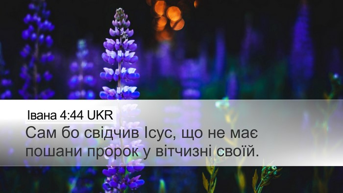 Івана 4:44 UKR Bible Verse Image