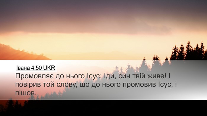 Івана 4:50 UKR Bible Verse Image
