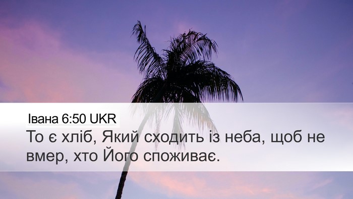 Івана 6:50 UKR Bible Verse Image