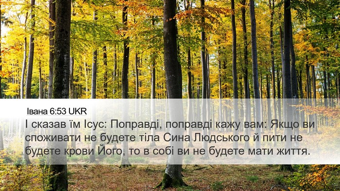 Івана 6:53 UKR Bible Verse Image