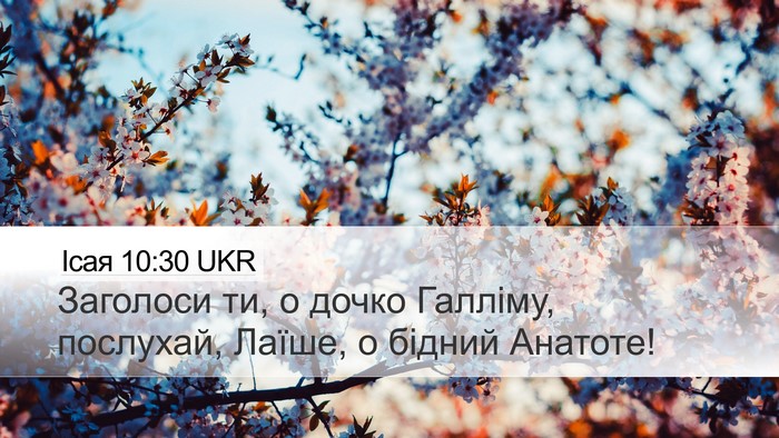 Ісая 10:30 UKR Bible Verse Image
