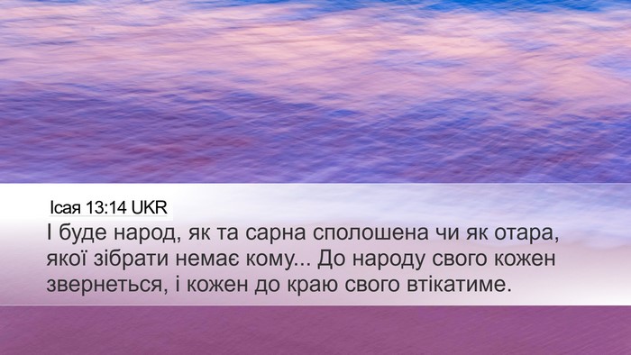 Ісая 13:14 UKR Bible Verse Image