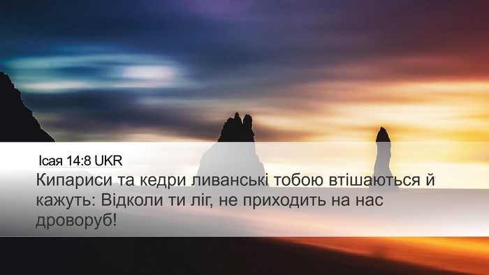 Ісая 14:8 UKR Bible Verse Image