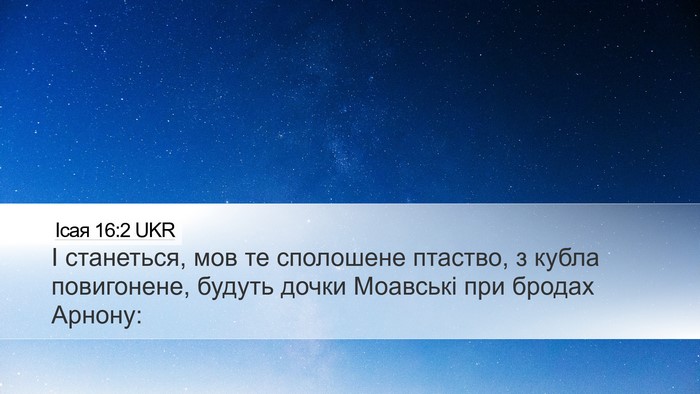 Ісая 16:2 UKR Bible Verse Image
