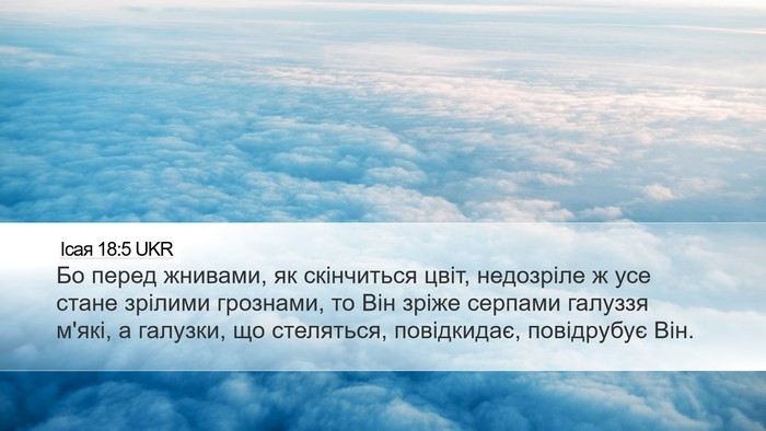 Ісая 18:5 UKR Bible Verse Image