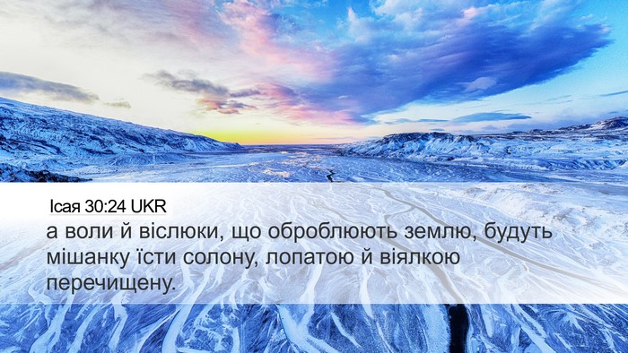 Ісая 30:24 UKR Bible Verse Image