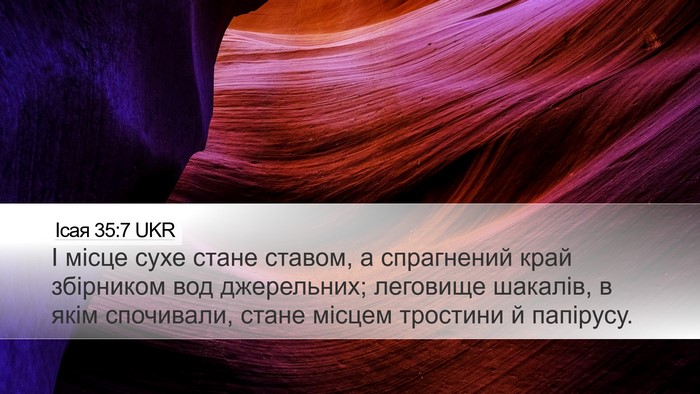 Ісая 35:7 UKR Bible Verse Image