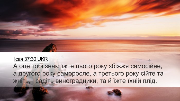 Ісая 37:30 UKR Bible Verse Image