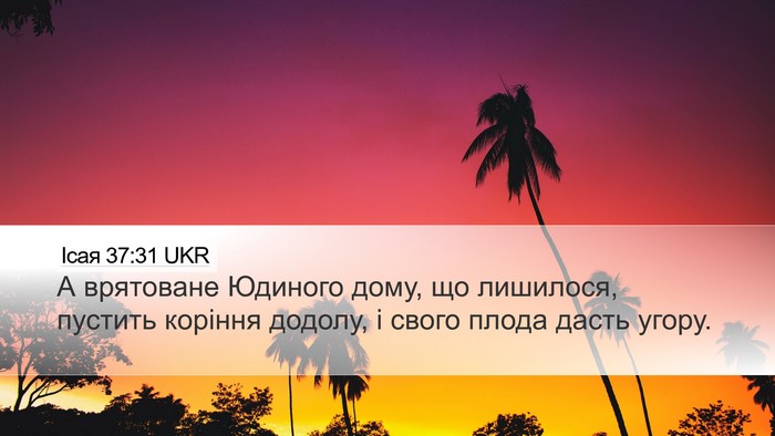 Ісая 37:31 UKR Bible Verse Image