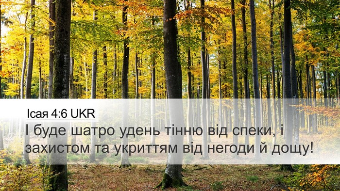 Ісая 4:6 UKR Bible Verse Image