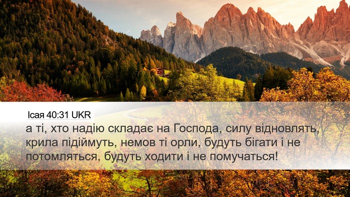 Ісая 40:31 UKR Bible Verse Image