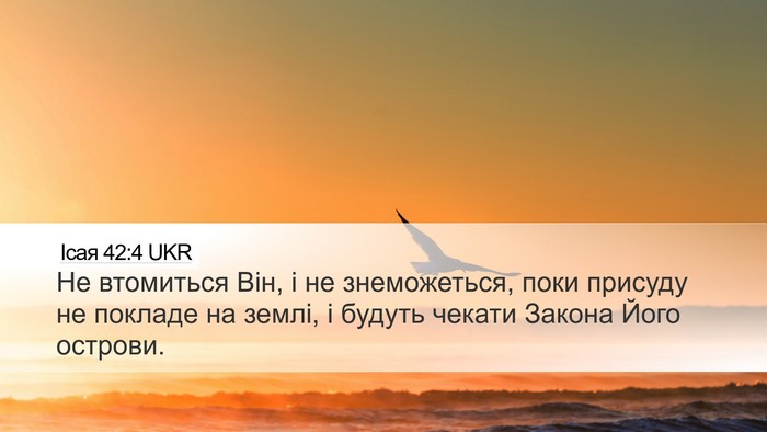 Ісая 42:4 UKR Bible Verse Image