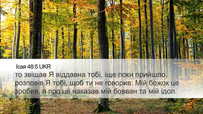 Ісая 48:5 UKR Bible Verse Image