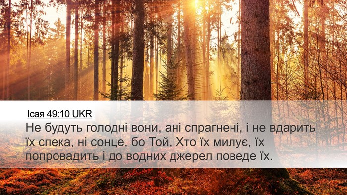 Ісая 49:10 UKR Bible Verse Image