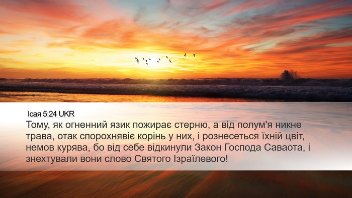 Ісая 5:24 UKR Bible Verse Image