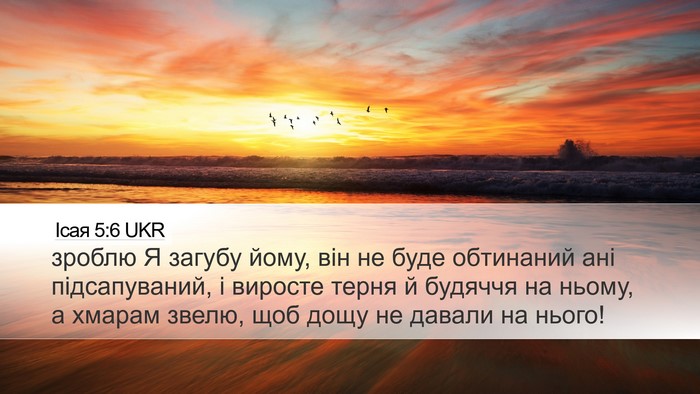 Ісая 5:6 UKR Bible Verse Image