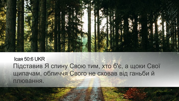 Ісая 50:6 UKR Bible Verse Image
