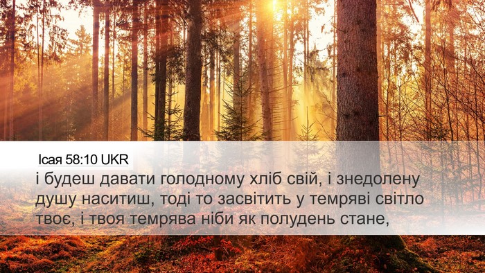 Ісая 58:10 UKR Bible Verse Image
