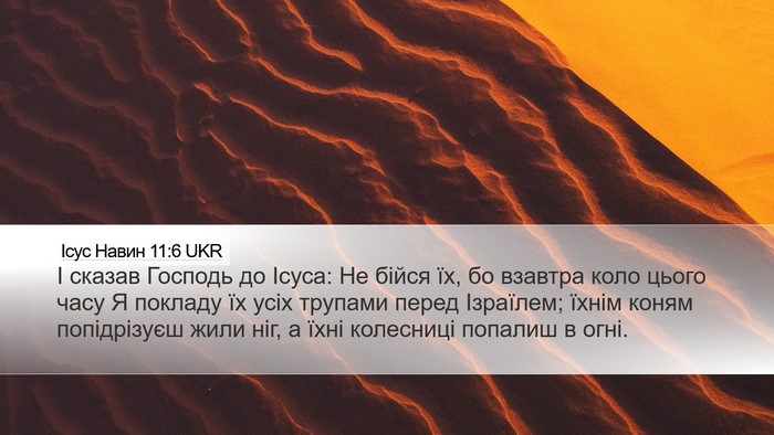 Ісус Навин 11:6 UKR Bible Verse Image