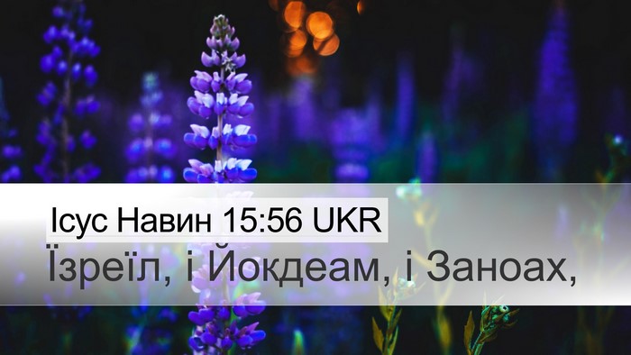Ісус Навин 15:56 UKR Desktop Wallpaper - Їзреїл, і Йокдеам, і - Desktop Bible Verse Wallpaper