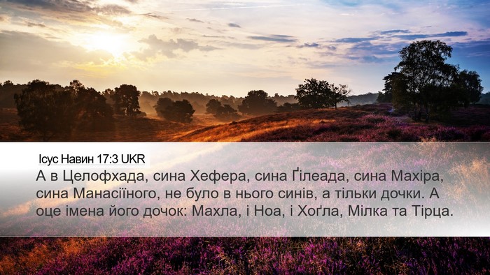 Ісус Навин 17:3 UKR Bible Verse Image