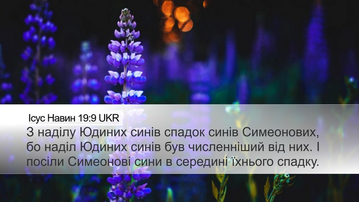 Ісус Навин 19:9 UKR Desktop Wallpaper - З наділу Юдиних синів - Desktop Bible Verse Wallpaper