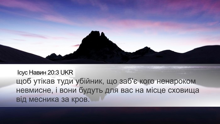 Ісус Навин 20:3 UKR Bible Verse Image