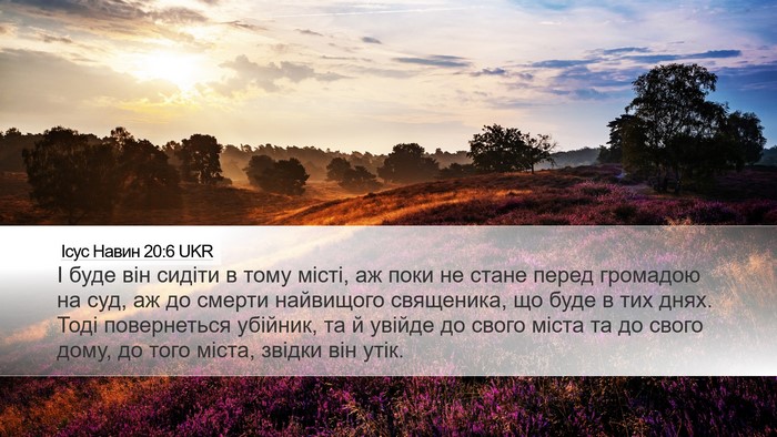 Ісус Навин 20:6 UKR Bible Verse Image